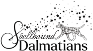 Spellbound Dalmatians and Airebound Airedales