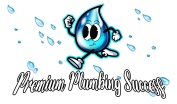Premium Plumbing Success