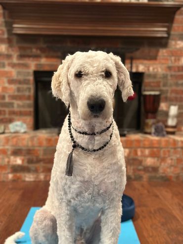 Mindful Malas Mindfulness Mindful path Spiritual awakening Carriann Flowers 