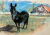 The Fast Mule