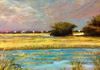The Neck- Edisto