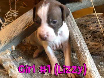 Girl #1 Lizzy