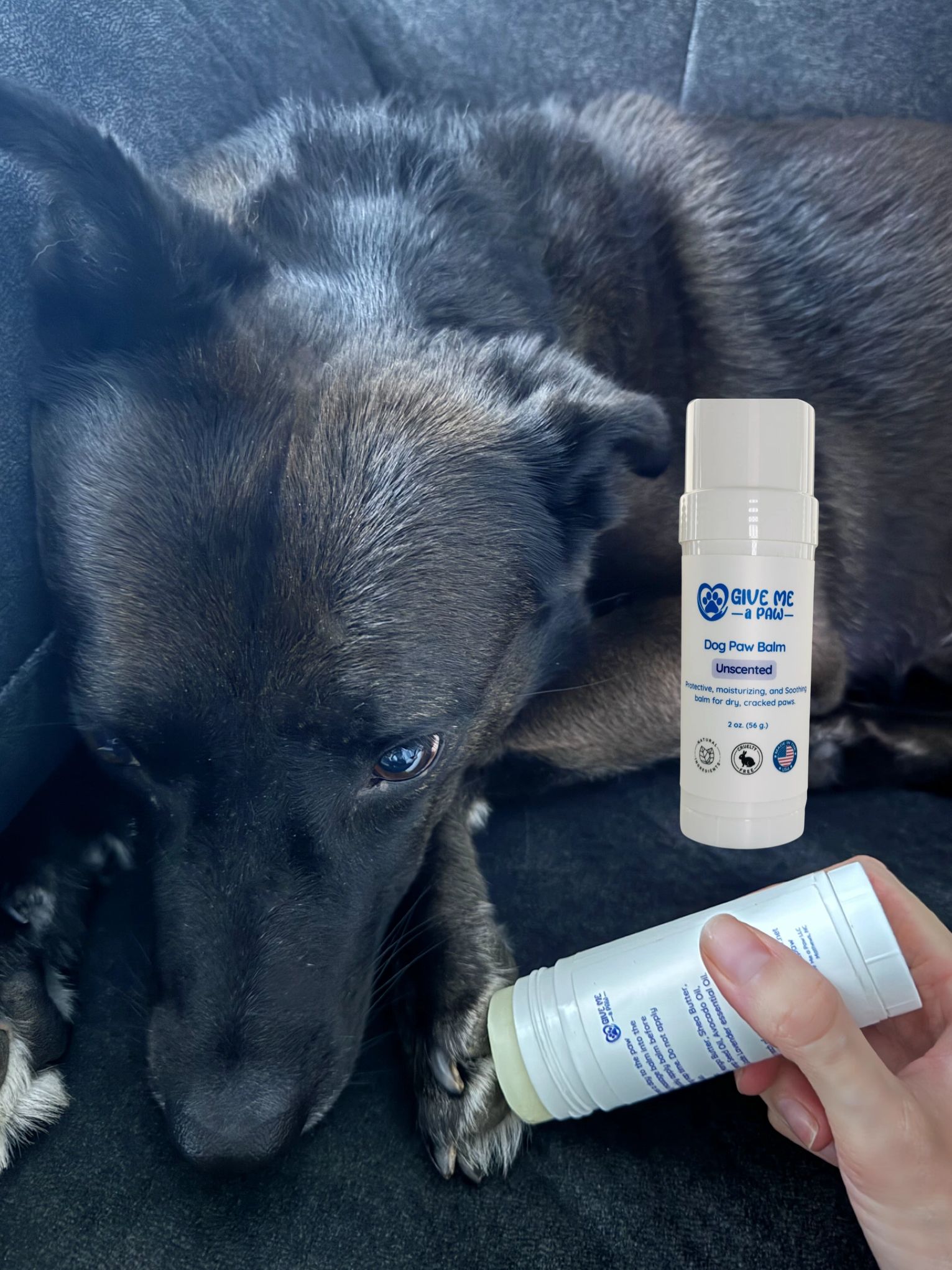 Dog paw balm, protective, moisturizing, and soothing balm for dry cracked paws