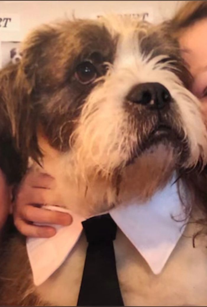 This is Robert. A true friend to all.