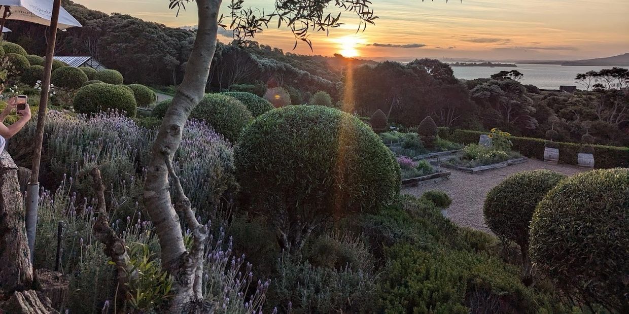 Sunset over a manicured garden with trimmed bushes and a distant water view.