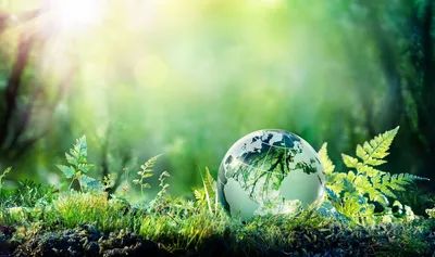 A glass globe on moss with green plants and sunlight in the background.