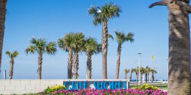 Palm trees line the beach at The Shores.