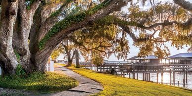 Pathway under large trees by a waterfront at sunset.