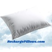Recharge Pillows and Seat Cushions