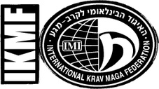 Krav Maga Minneapolis