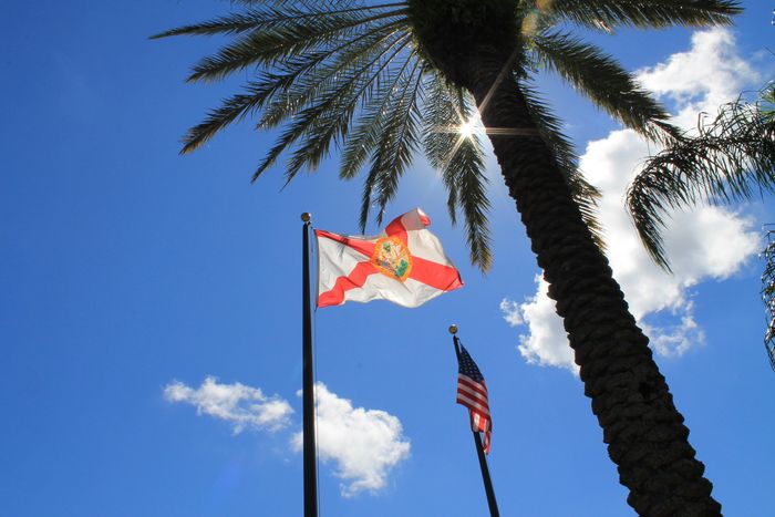 State of Florida and American Flag in the Florida sunshine