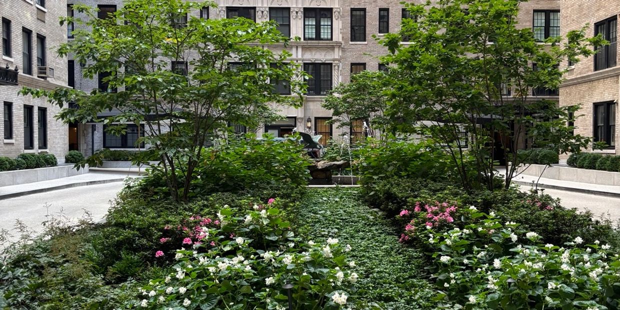 A lush garden with green plants and flowers in a courtyard between buildings.