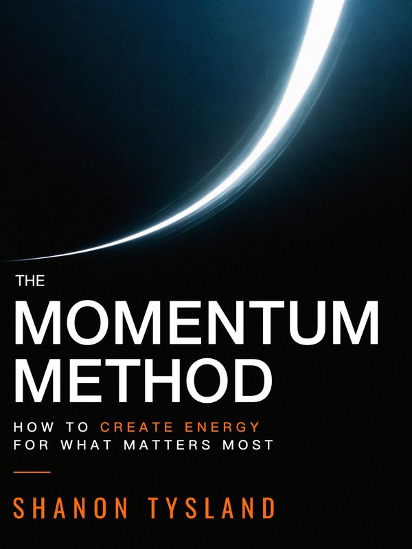 Book cover titled 'The Momentum Method' with a glowing arc design.