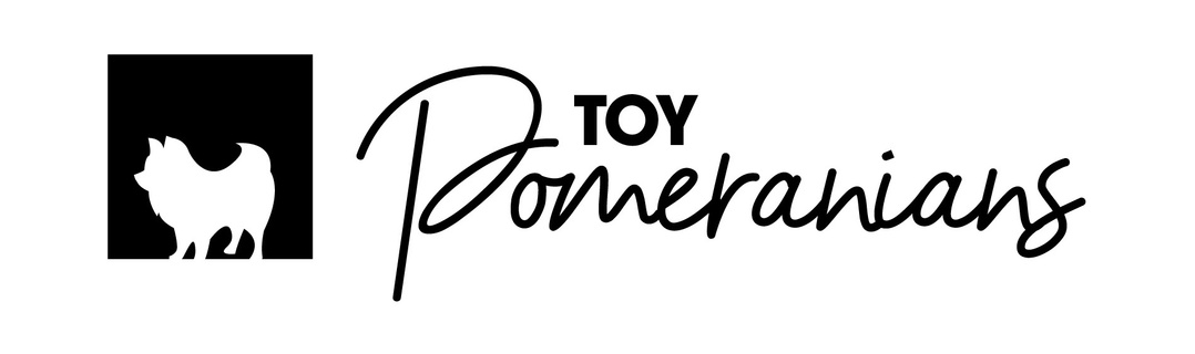 Toy Pomeranians 