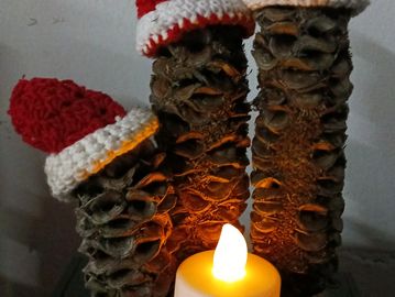 Banksia cones with Santa hats by candle light