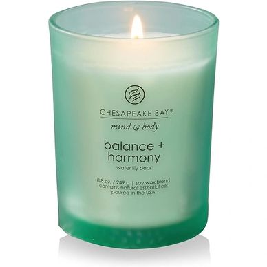 Chesapeake Bay Balance + Harmony Scented Candle, Water Lily Pear Fragrance, 50 Hours
$11.89