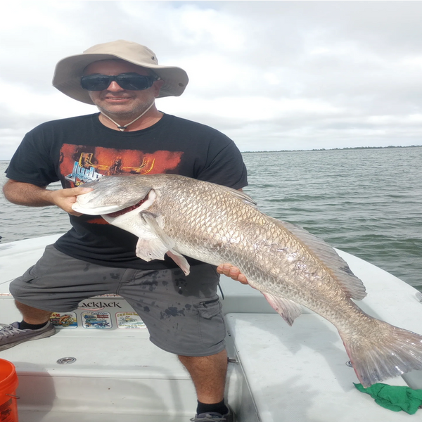 Black drum in Venice louisiana