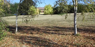 Front garden from the farm track past Castanet