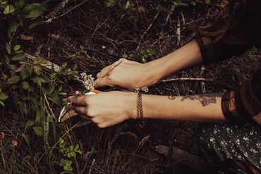 A woman's tattooed hands foraging wildflowers with a pair of garden sheers