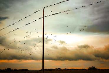 Many birds in silhouette sitting on a telephone wire and flying in the air with stormy clouds.