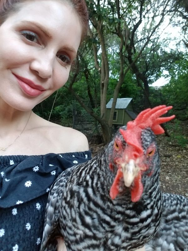 chicken coop at home