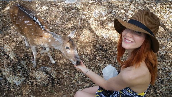 Pet Sitter with a deer or fawn