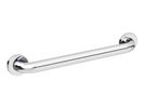 Shiny stainless steel grab bar for support and safety.