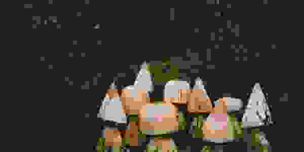 image2942