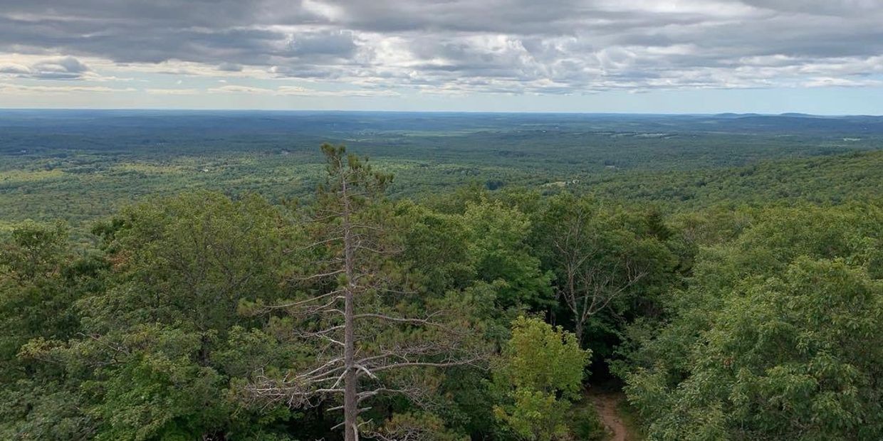 Vast green forest under a cloudy sky.