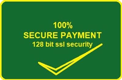 Green 100% secure payment 
128 bit ssl security banner