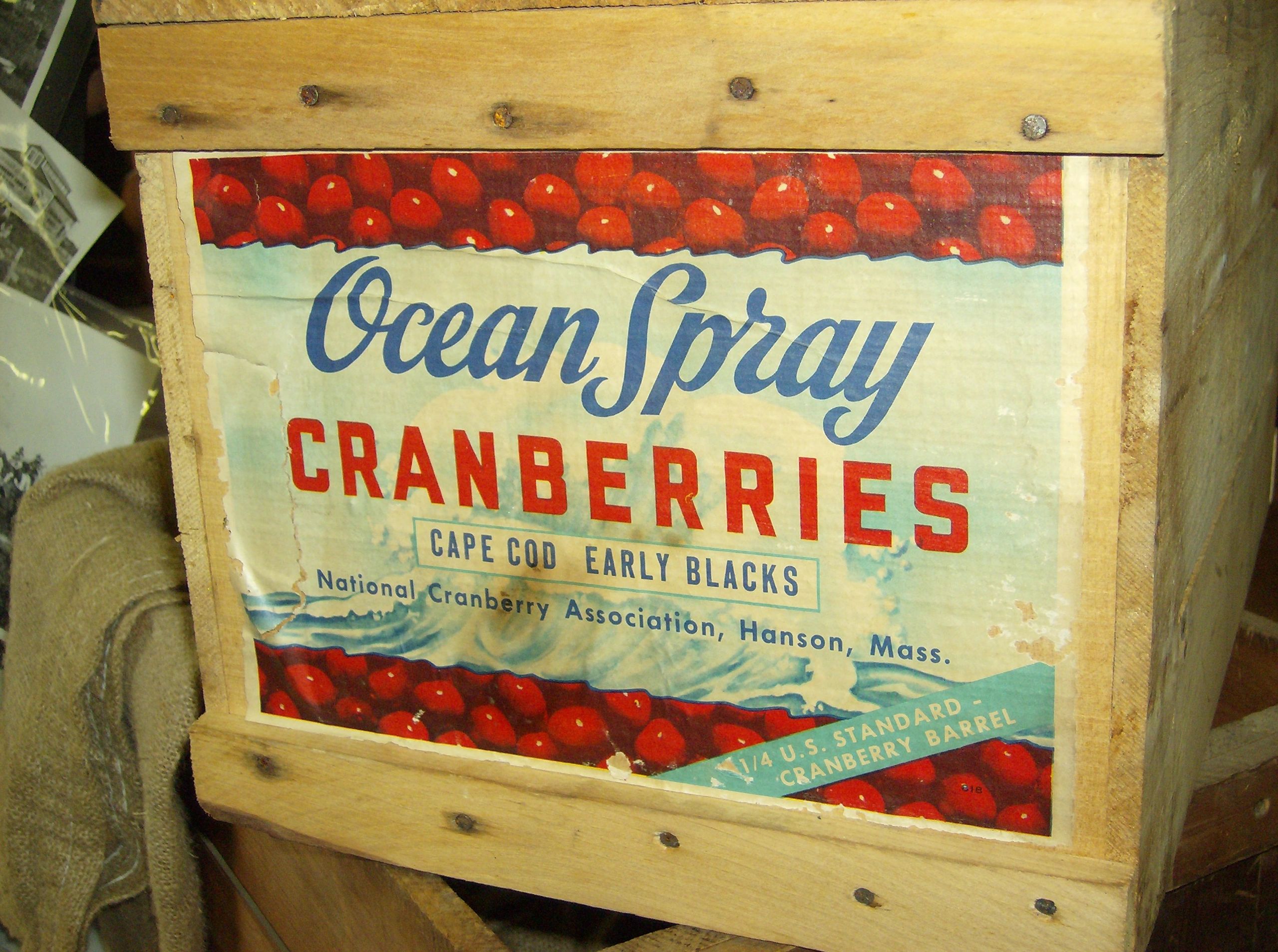 Seasonal Sights and Sounds of Cranberry Country