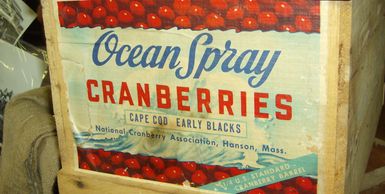 Ocean Spray