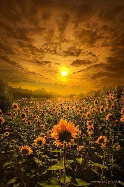 两个国度的属灵冲突 使徒马都纳多