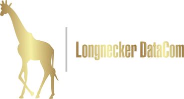 Longnecker DataCom Logo
