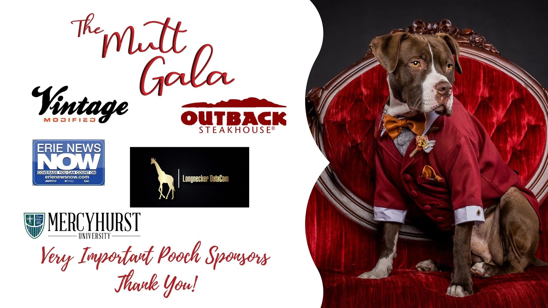 erie human society's mutt gala sponsorship 