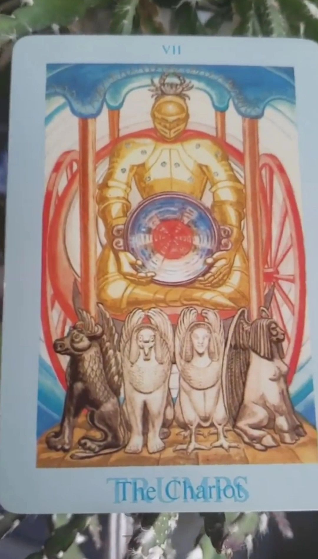 The Chariot from Thoth Tarot