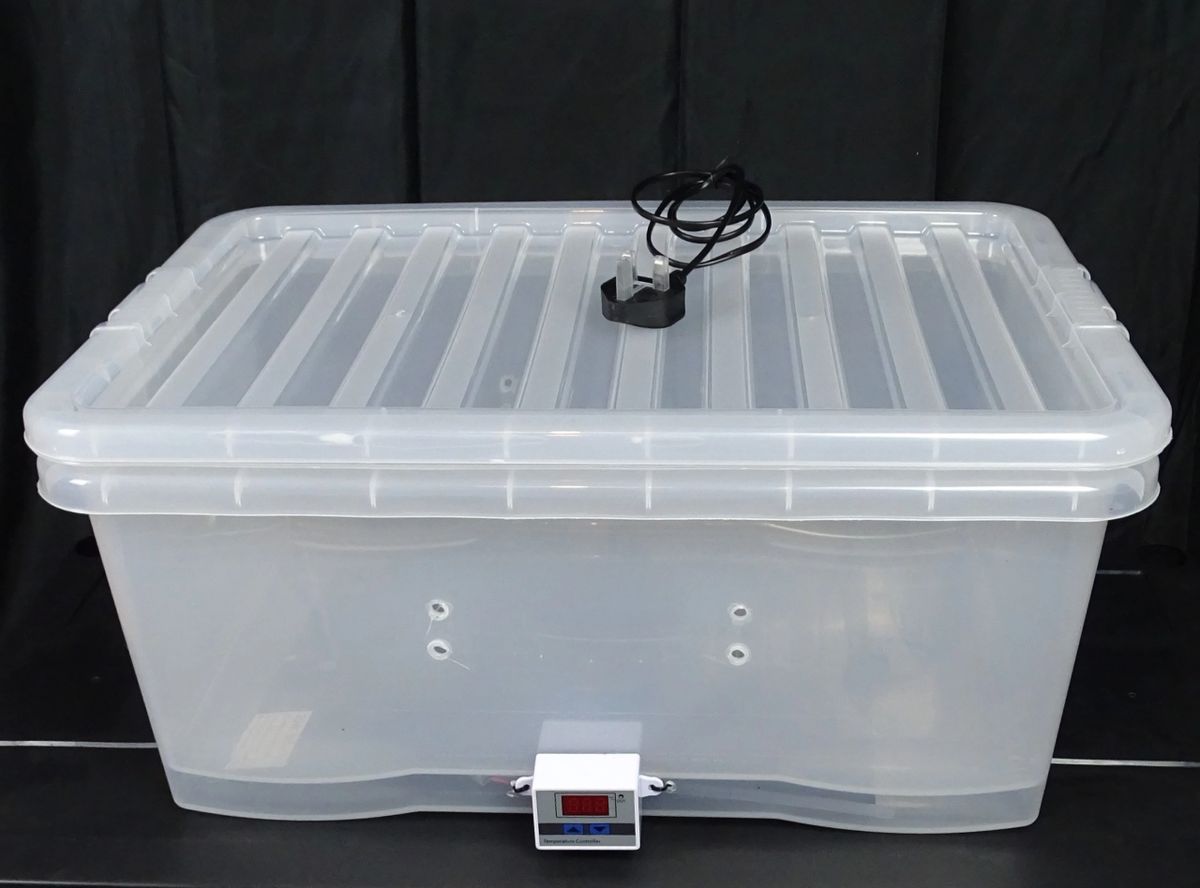 GrowBuddie60. allinone Mushroom Incubator box and Mushroom Fruiting