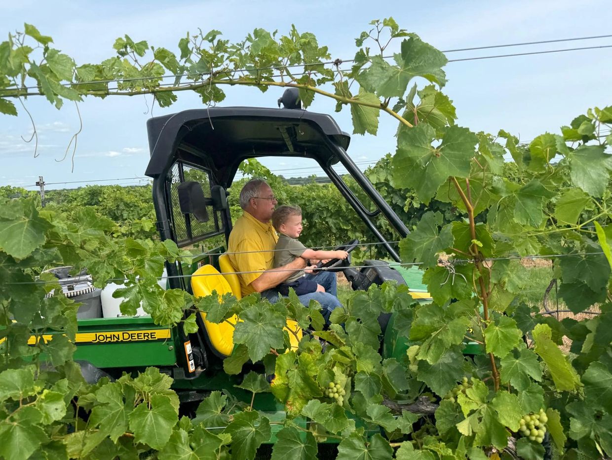 An elderly man and a child riding a green John Deere vehicle through grapevines.