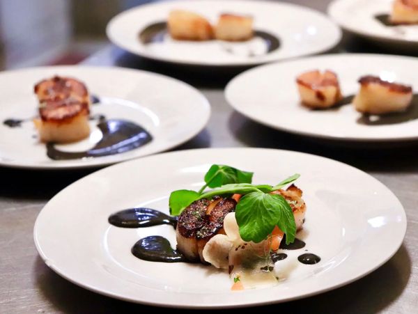 Plated gourmet scallops with black sauce and greens in a fine dining setting.