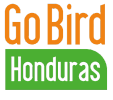 Go Bird Honduras