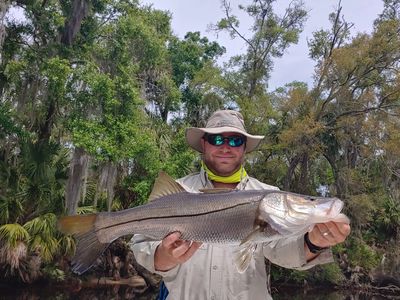 Crystal River, Fishing Charter