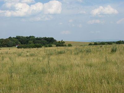 William F. Wallicks position at 1st Kernstown