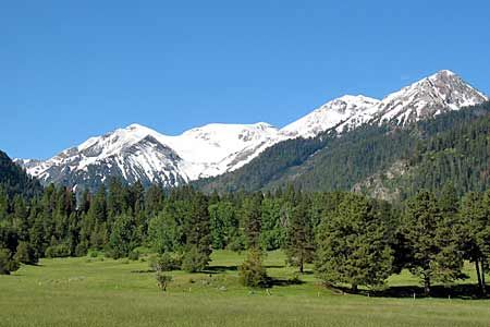 Hurricane Creek Pasture, Wallowa County, Oregon