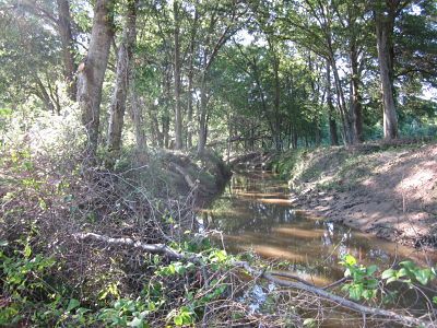 Fourteen Mile Creek