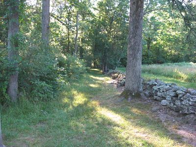 Confederate position at The Swale