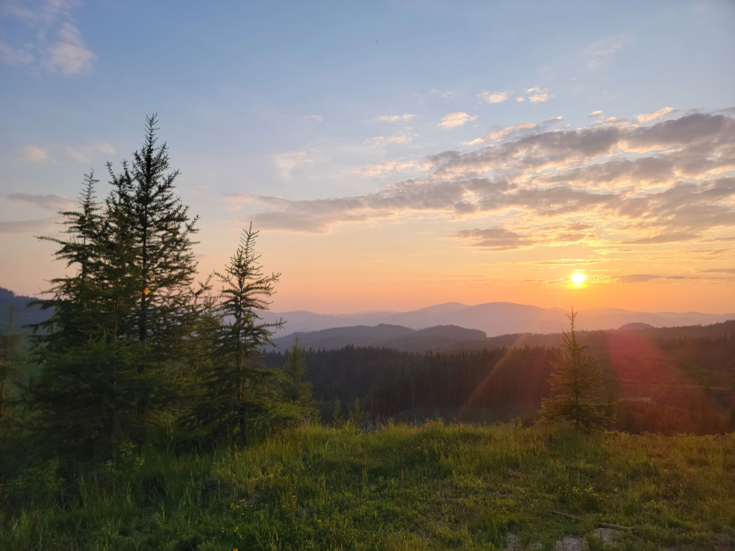 Viridescent Contracting viridescent-contracting