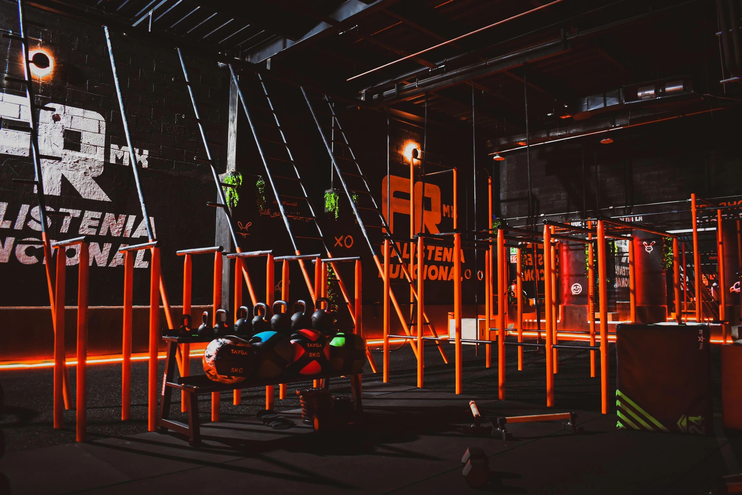 Cm to Feet Converter visual data 4