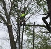 Priced Right Tree Service 
Landscaping and Lawn 