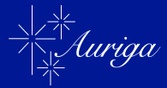 Auriga Insights