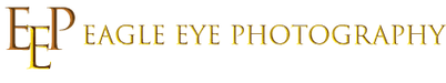 Eagle Eye Photography